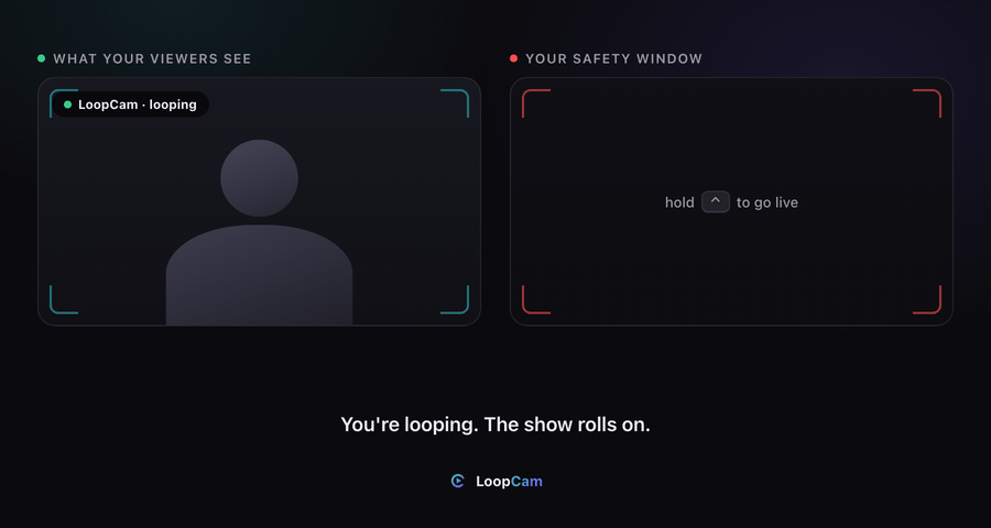 LoopCam bypass flow demo
